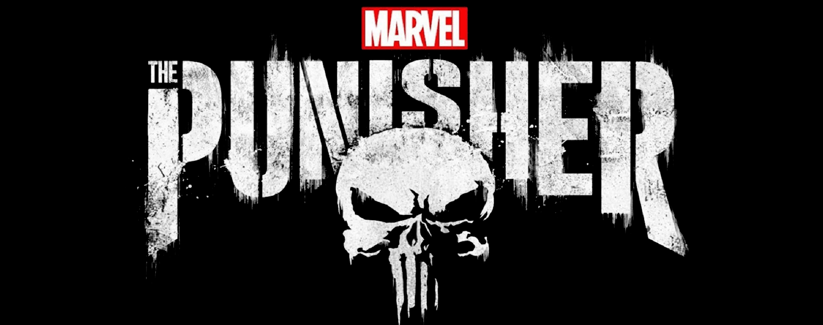 La signification du logo du Punisher et l'armée américaine.